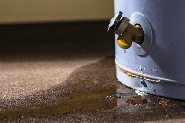 Best Water damage mitigation services  in Milford, PA