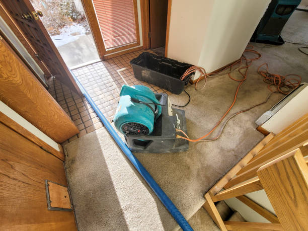 Best Water damage cleanup near me  in Milford, PA