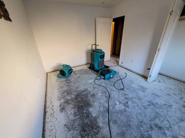 Water damage restoration mold remediation in Milford, PA