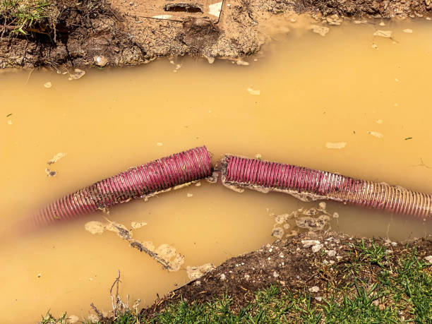Best Water damage contractors near me  in Milford, PA