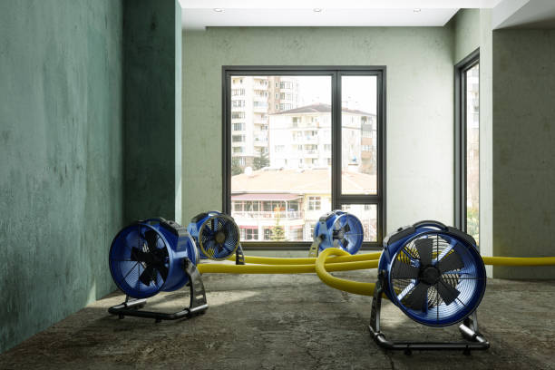 Best Flood restoration services  in Milford, PA
